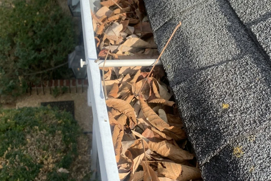 Gutter Cleaning Westville