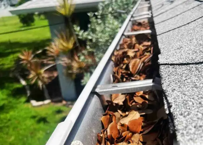 Gutter Cleaning Westville home page